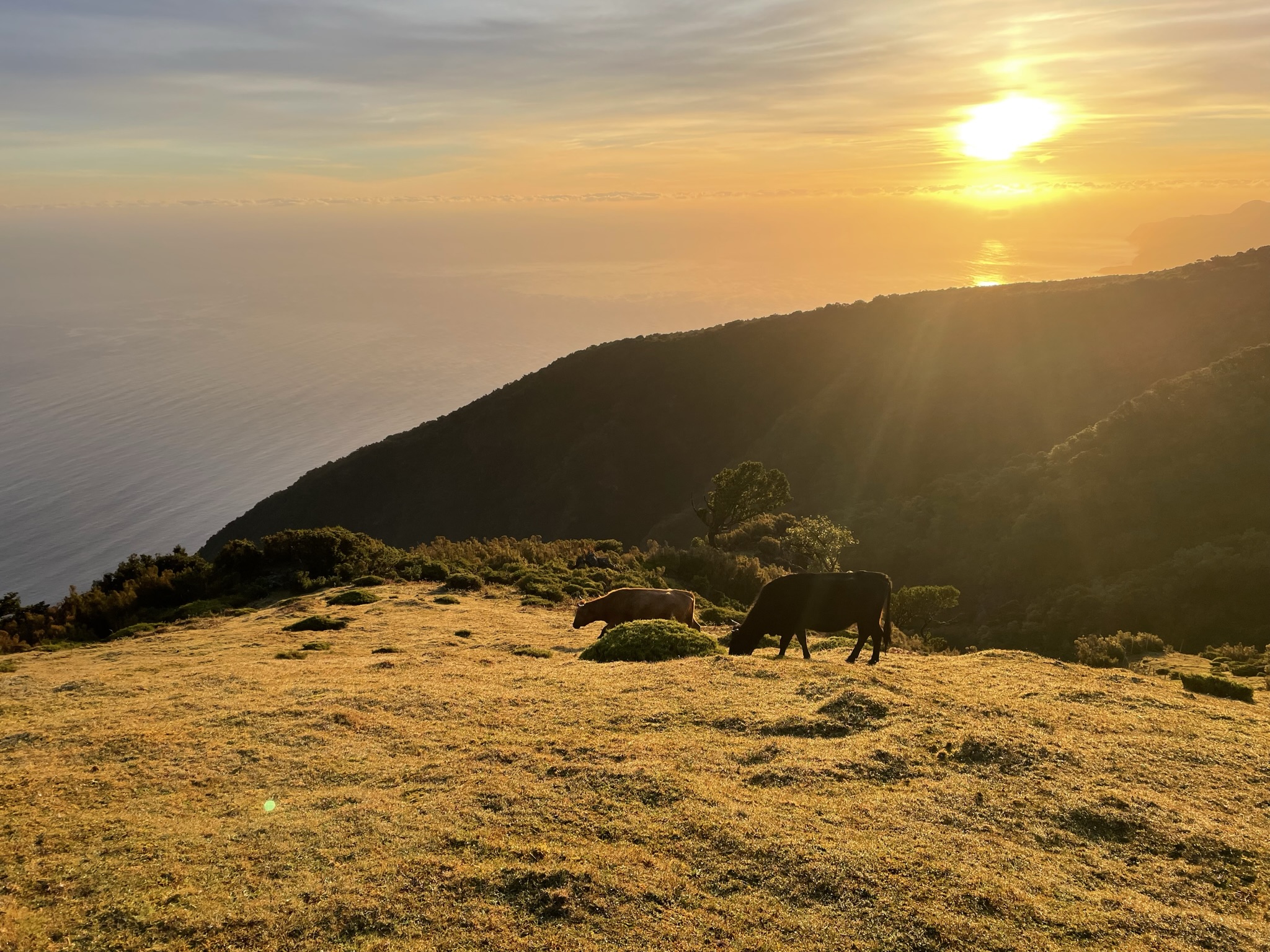 Madeira