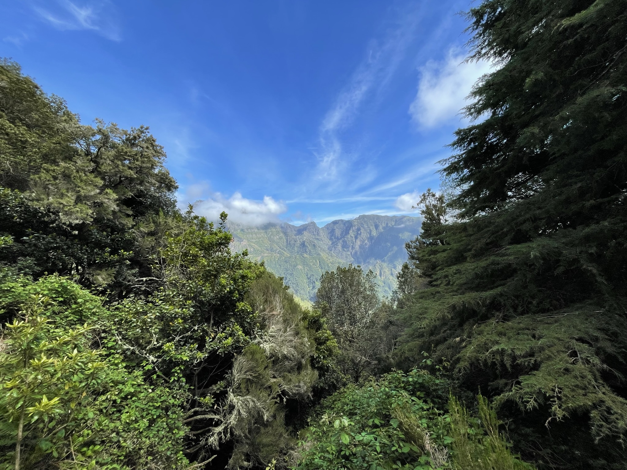Madeira