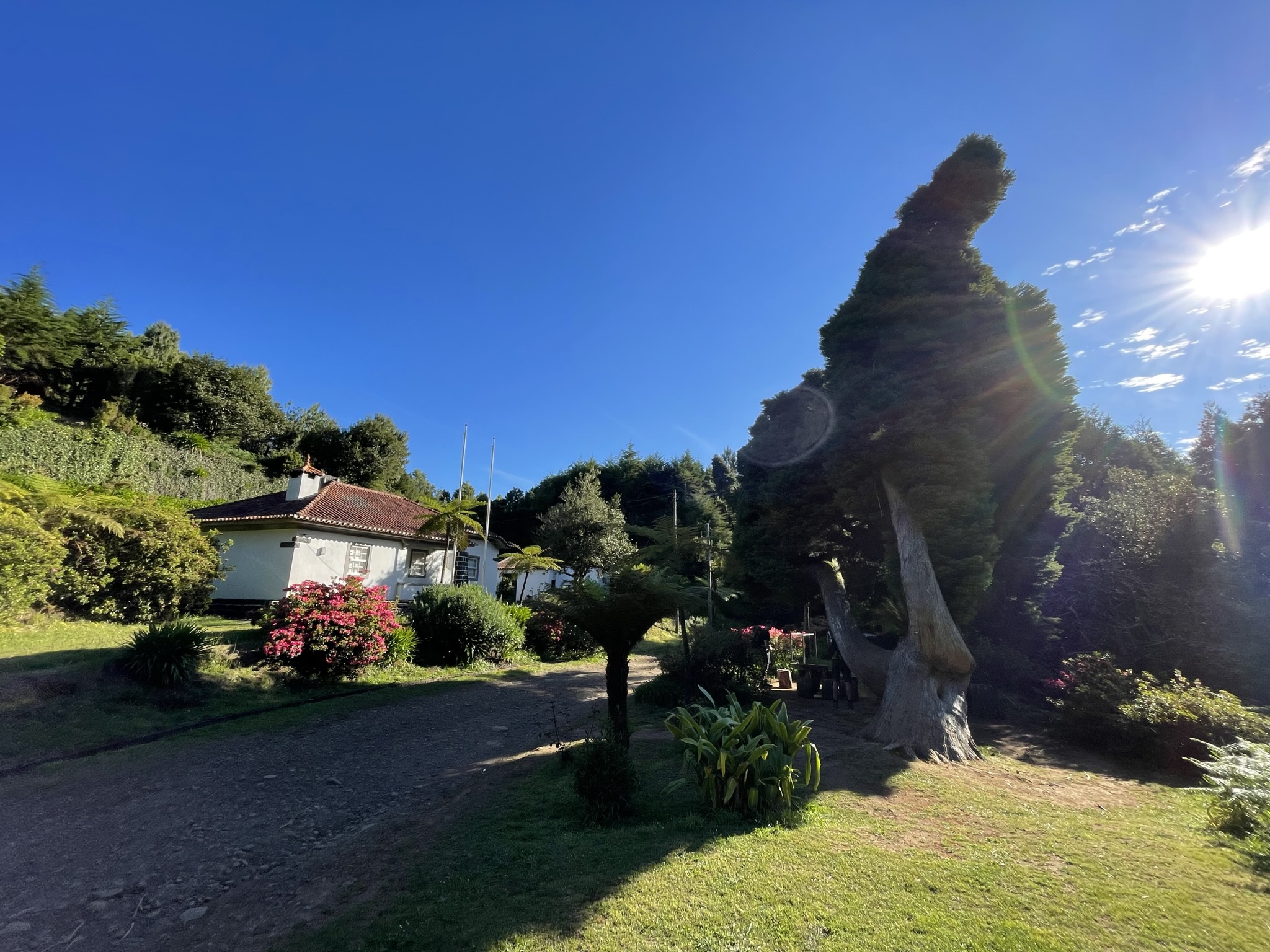 Madeira