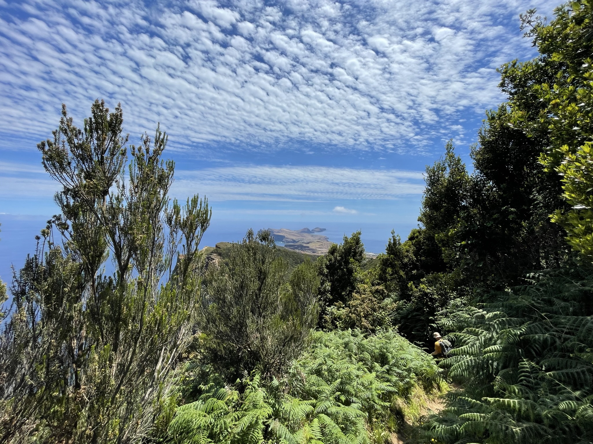 Madeira